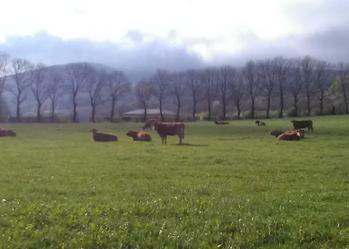 Apartman Saint-jacques *