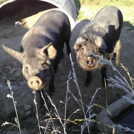 Saint-jacques 公寓