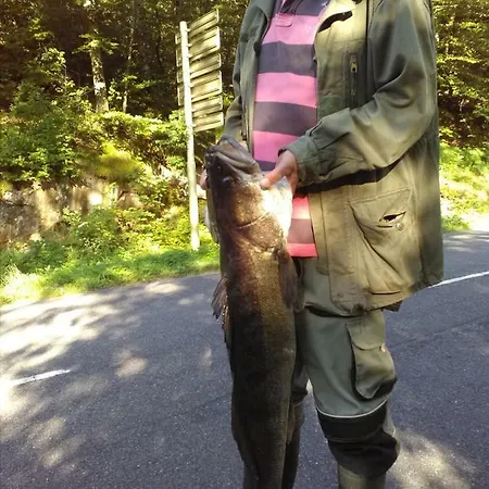 Du Ruisseau