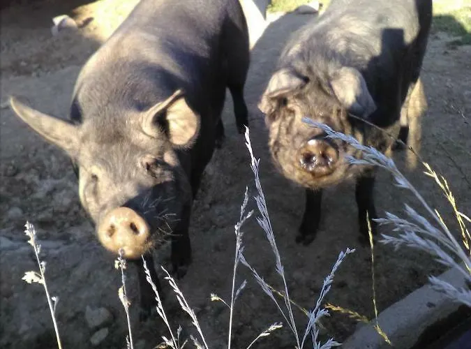 Saint-jacques Apartmán